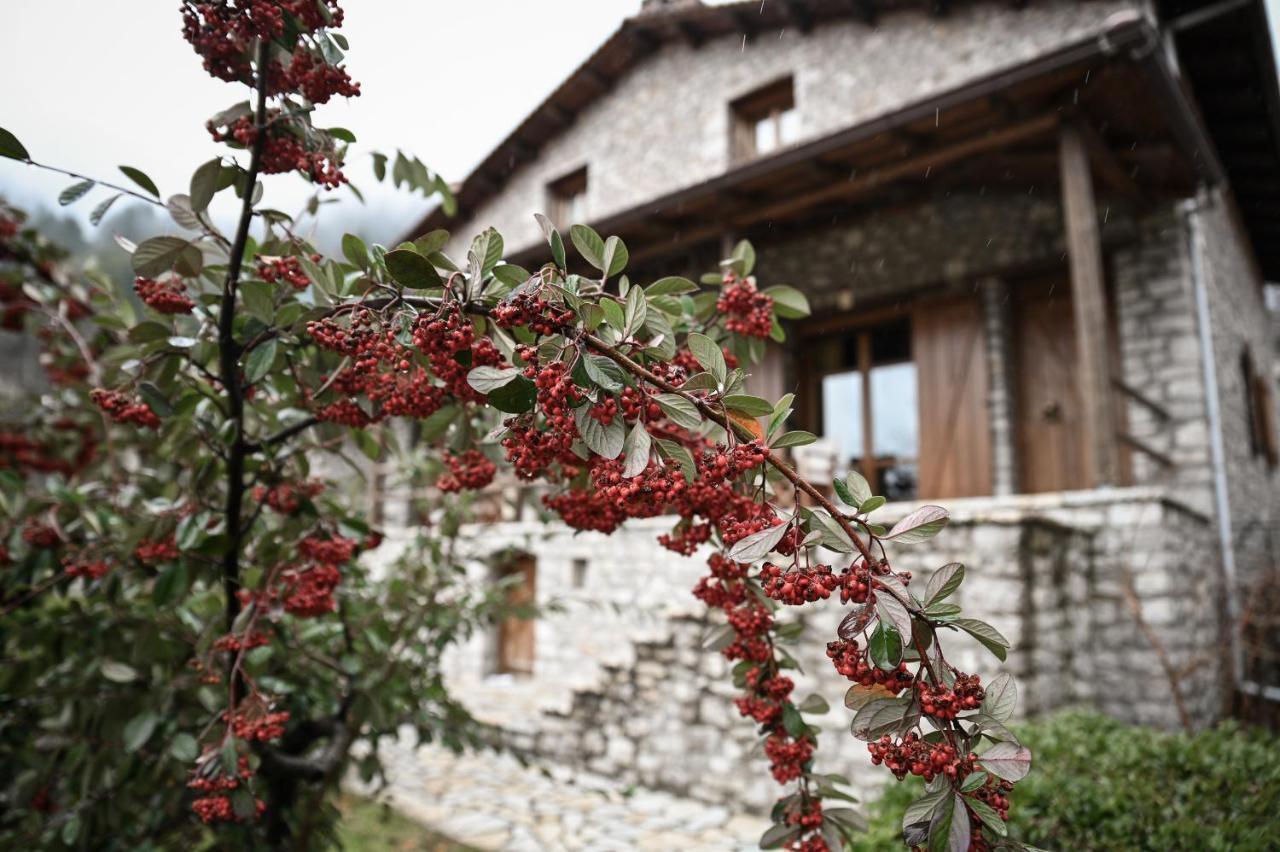 Petrina Theohari Villa Lekhouri Bagian luar foto