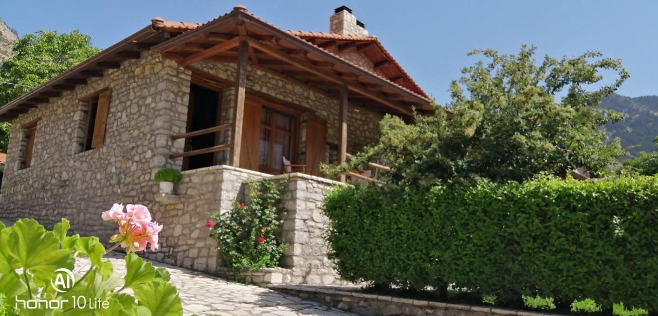 Petrina Theohari Villa Lekhouri Bagian luar foto