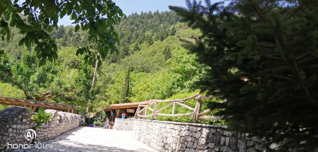 Petrina Theohari Villa Lekhouri Bagian luar foto