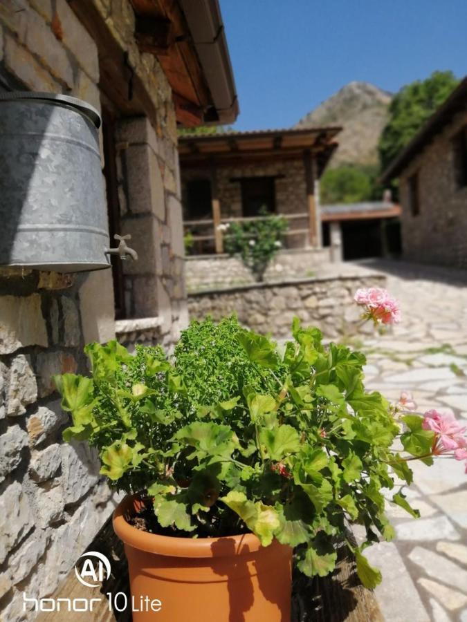 Petrina Theohari Villa Lekhouri Bagian luar foto