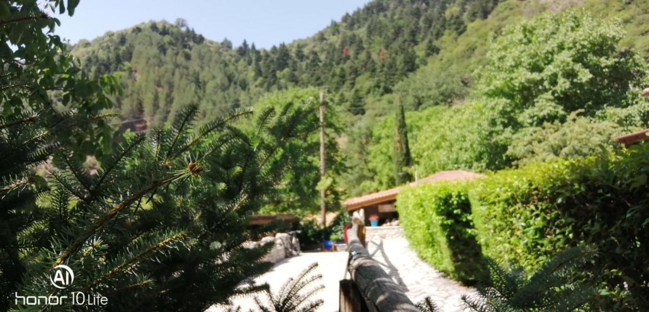 Petrina Theohari Villa Lekhouri Bagian luar foto