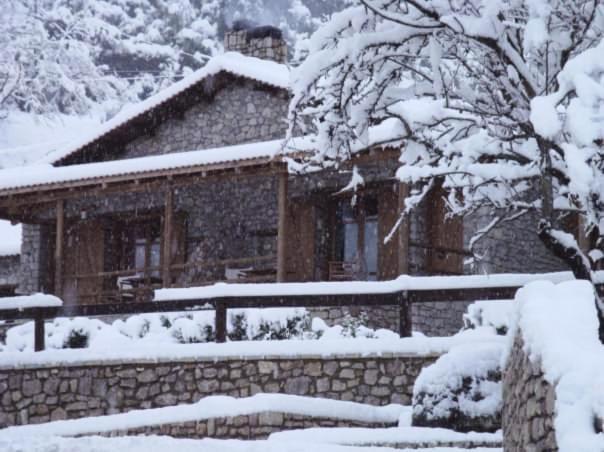 Petrina Theohari Villa Lekhouri Bagian luar foto
