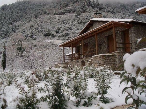 Petrina Theohari Villa Lekhouri Bagian luar foto