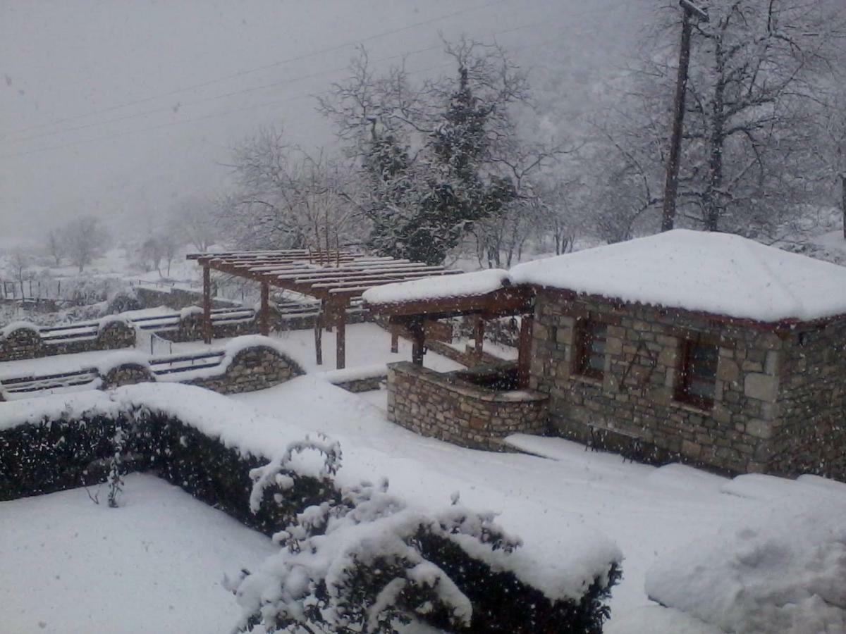 Petrina Theohari Villa Lekhouri Bagian luar foto